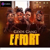 Effort (feat. LekkzyYoung, Don Pappi, Dollar Don P & Da Blaze) - Single - Gdos