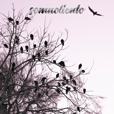 Somnoliento (feat. Smpl & Giova) - Single