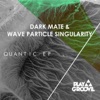 Dark Mate & Wave Particle Singularity