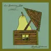 Gayle Skidmore - No Ordinary Life