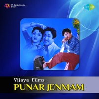 Punar Jenmam (Original Motion Picture Soundtrack) - T. Chalapathi Rao