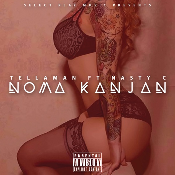 Noma Kanjan (feat. Nasty C) - Single - Tellaman