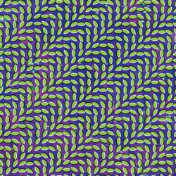 Animal Collective - My Girls