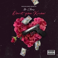 Don't You Know - Single - Mr Chris