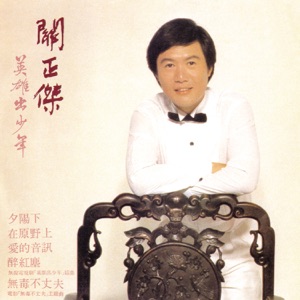 復黑王: 英雄出少年
