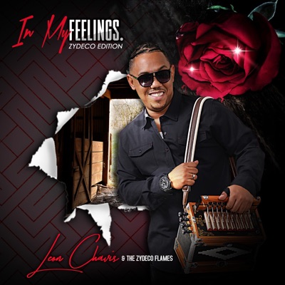 In My Feelings (Zydeco Edition) - Single