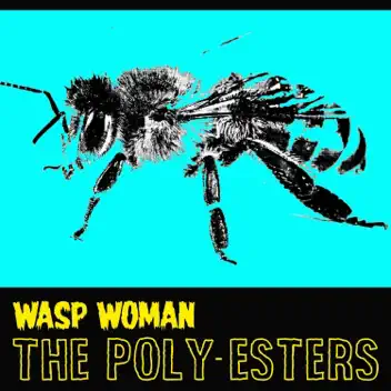 Wasp Woman album cover