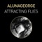 Attracting Flies - AlunaGeorge lyrics