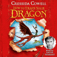 Cressida Cowell - How to Train Your Dragon artwork
