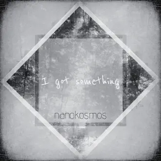 I Got Something by Nanokosmos song reviws