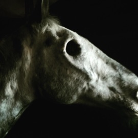 Forever Is Far Away Michael Wilbur