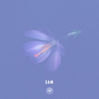 3AM feat. Haneri - Single - AmPm
