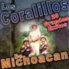 Los Corralillos de Michoacan - Cuando Regreses Del Camino