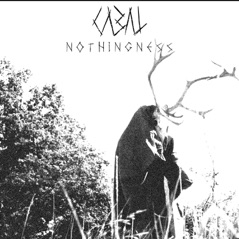 Nothingness (feat. C.J. McMahon) - Single