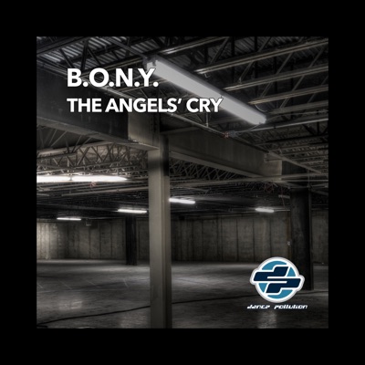 The Angels' Cry - Single