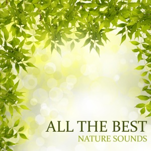 All the Best Nature Sounds: Relaxing New Age, Sleep Deep Meditation, Serenity Spa, Anxiety and Stress Quick Relieve