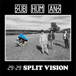 29:29 Split Vision - Subhumans