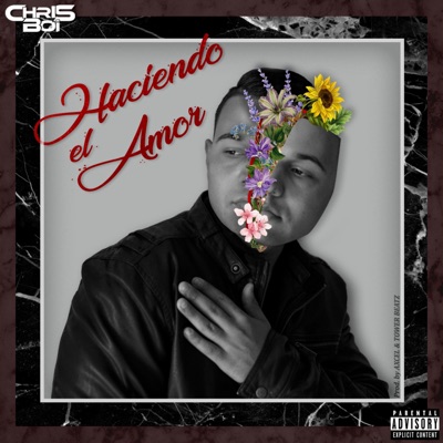 Haciendo el Amor - Single