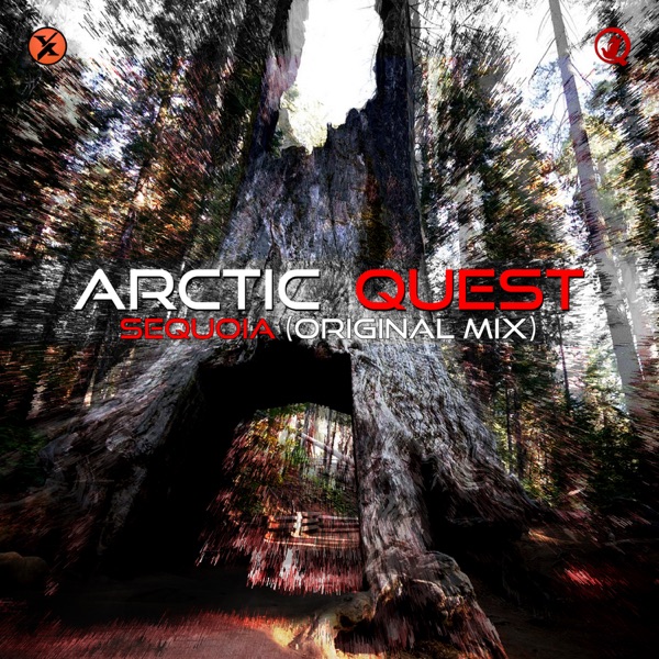Sequoia - Single