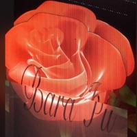 Bara þú (feat. Gkr) - Single - Mælginn