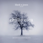 Chilltronica No. 6 artwork