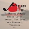 Mason Loves Banjo, Toy Guns and Roanoke, Virginia - C. Allocco lyrics