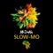 Slow-Mo - Mr. DeeKay lyrics