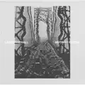 Movements (Chapter III)