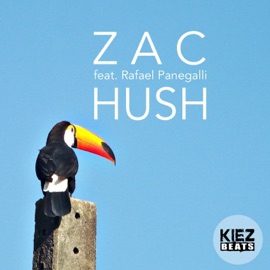 Hush (feat. Rafael Panegalli) [Extended Mix] ZAC