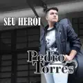 SEU PORTEIRO - Pedro Torres