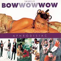 Go Wild In The Country (12" Version)