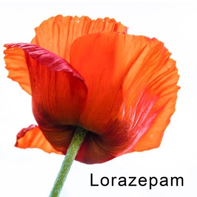 Lorazepam - Single