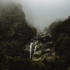 Sanctuary Jellis