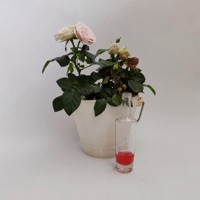 Tomma Flaskor - Single - Asfodel