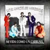 Mi Vida Como un Carrusel