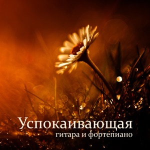 Успокаивающая гитара и фортепиано: Нежные звуки природы дождь, океан, пение птиц