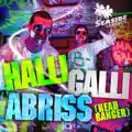 Halli Galli Abriss