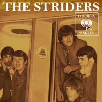 The Striders - Say You Love Me