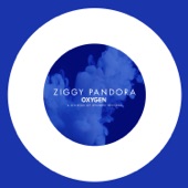 Pandora (Radio Edit) artwork