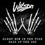 Wilson - Sleep Now In the Fire