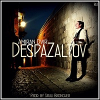 דספזלטוב - Amiran Dvir