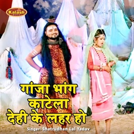Ganja Bhang Se a Gaura Katela Dehi Ke Lahar Ho Shatrudhan Lal Yadav