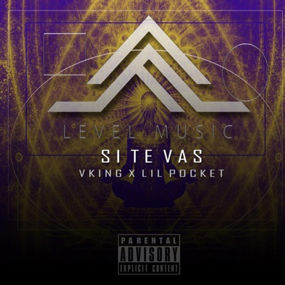Si Te Vas (feat. Vking & Lil Pocket) - Single
