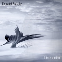 David Wide - Dreamland