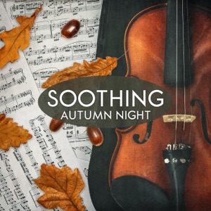 Soothing Autumn Night: Piano Relaxation for Ears, Sounds of Inspiration, Calm Reading, Daily Peace, Silent Therapy
