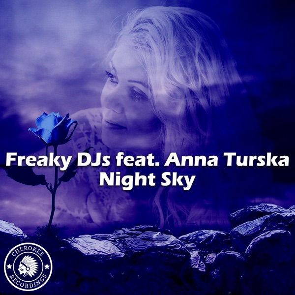 Night Sky (feat. Anna Turska) - Single