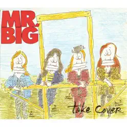 Take Cover - EP - Mr. Big