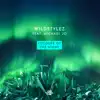 Wildstylez - Colours of the Night (feat. Michael Jo)