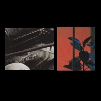 Welz - Single - Fitz Ambro$e