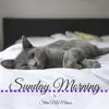 Steve McManus - Sunday Morning